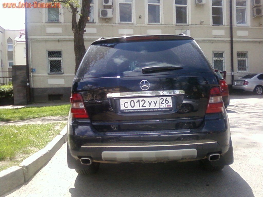 image1.jpeg